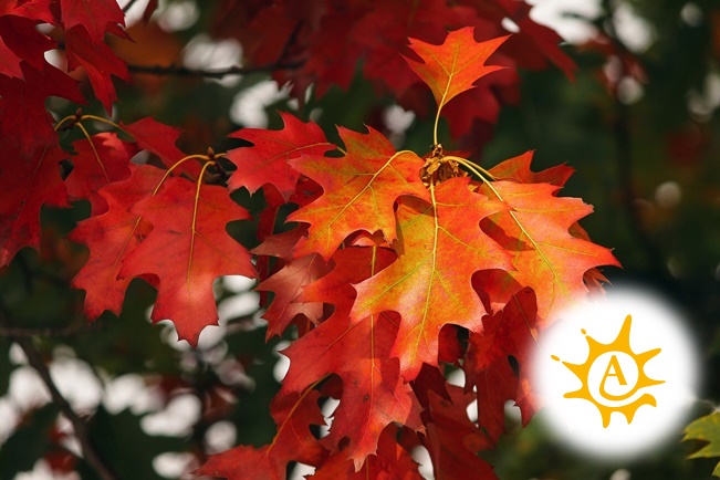 2019 – Oktober